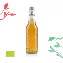 Galvanina Bio Ginger