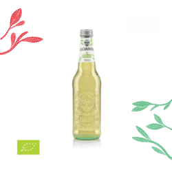 galvania Herbata z miętą Bio 355 ml.